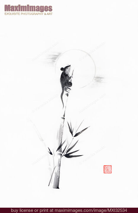 Stock image of Cute sumi-e painting of a little moon-gazing mouse on bamboo Buy commercial use license at MaximImages