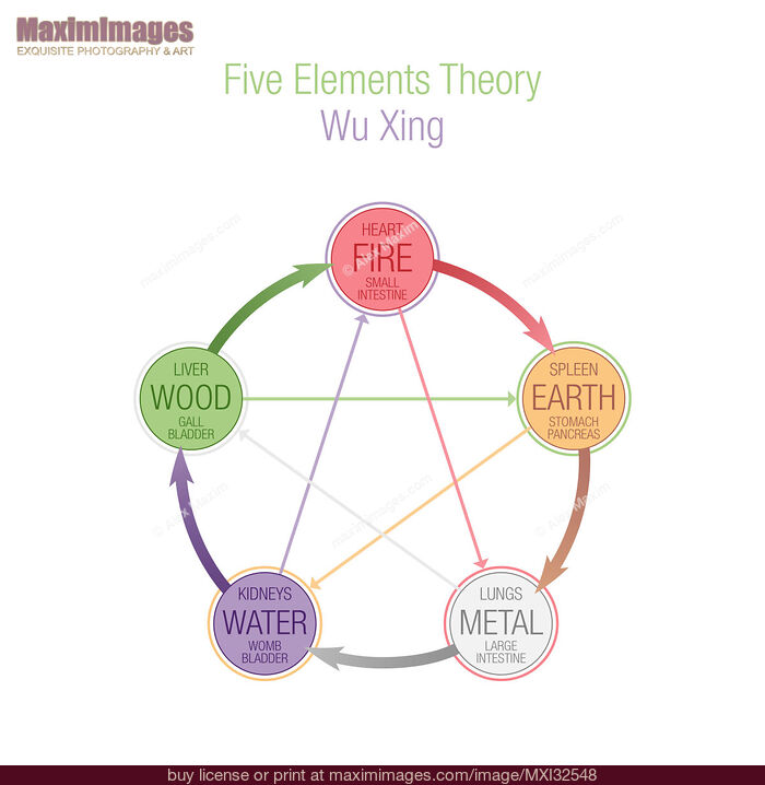 Stock image of Five Elements Theory Wuxing Wu Xing in Taoism and TCM Buy commercial use license at MaximImages