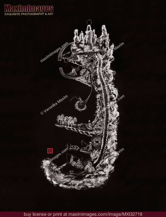 Stock image of Taoist Classical Nei Jing Tu Chart of Inner Alchemy Nei Dan NeiJingTu on black Buy commercial use license at MaximImages