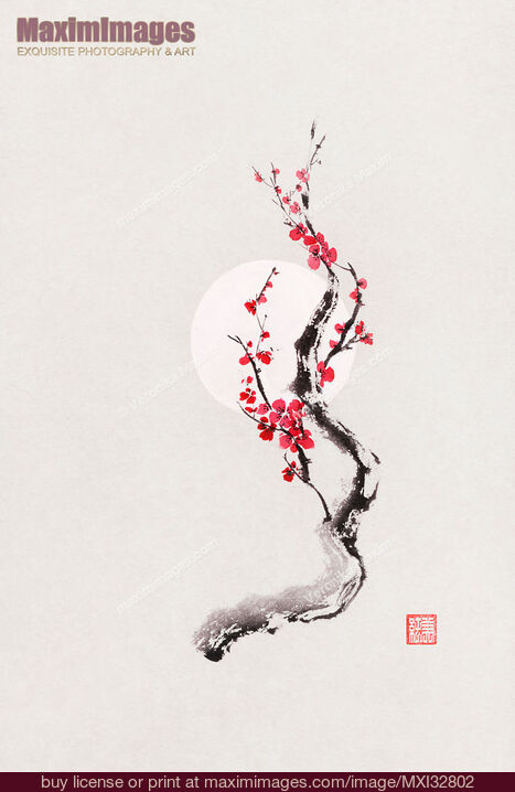 Stock image of Fine art Illustration of Sakura iconic cherry blossom oriental sumi-e Zen painting Buy commercial use license at MaximImages