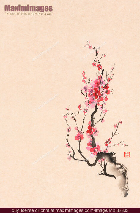 Stock image of Japanese sumi-e ink painting of an iconic plum blossom branch with red flowers on beige background Buy commercial use license at MaximImages