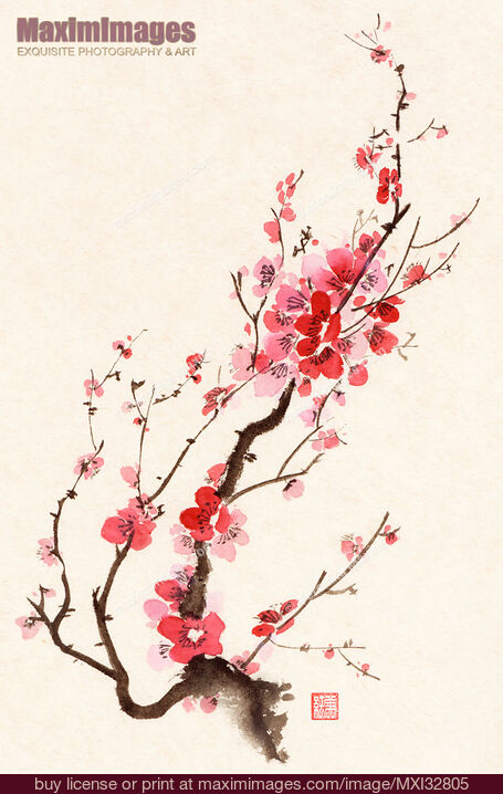 Stock image of Sumi-e ink painting of blooming beautiful plum blossom or sakura branch with red flowers Buy commercial use license at MaximImages