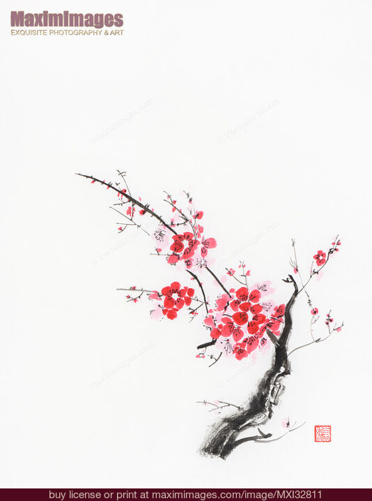 Stock image of Cherry blossom abstract Japanese Zen painting of Sakura branch with red flowers on white Buy commercial use license at MaximImages