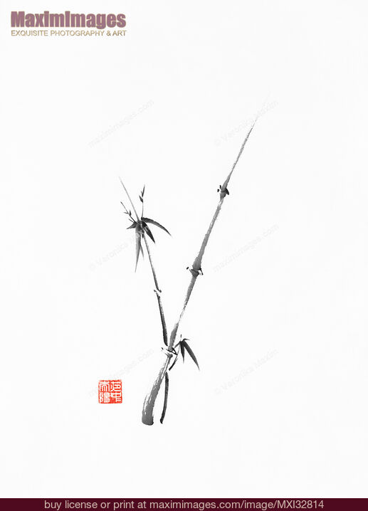 Stock image of Zen bamboo two young stalks fine art painting Chinese brush black ink sumi-e illustration Buy commercial use license at MaximImages