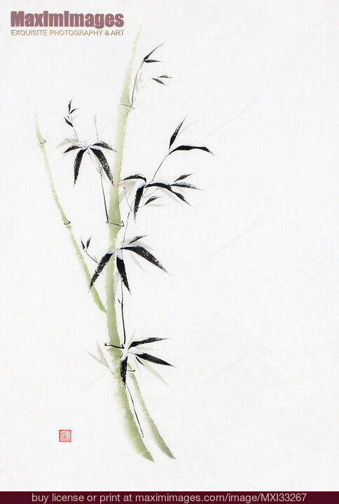 葉に雪が降る緑の竹の茎のファインアート墨絵エレガントな禅風イラスト ストックイラスト Mxi