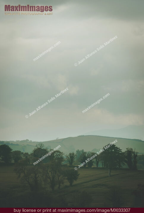 Stock photo of Misty countryside dramatic nature scenery in Northern Ireland Buy commercial use license at MaximImages