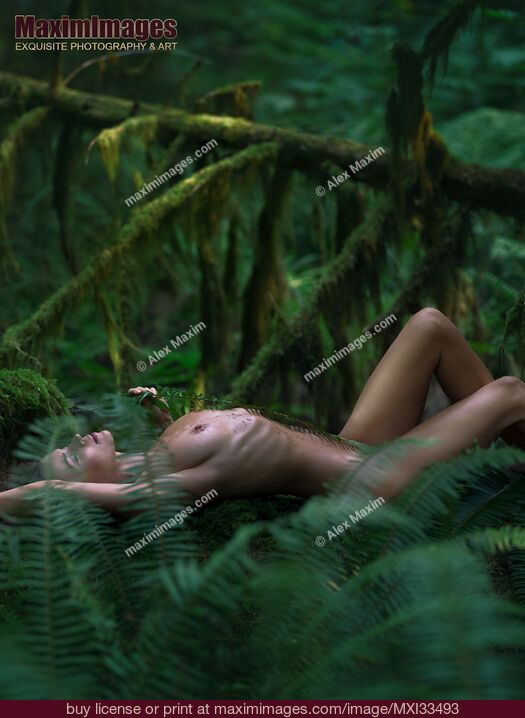 Femme nue allongée dans un paysage naturel de forêt moussue vert foncé se caressant avec une branche de fougère Stock photo de Femme nue allongée dans un paysage naturel de forêt moussue vert foncé se caressant avec une branche de fougère Acheter une licence d'utilisation commerciale chez MaximImages