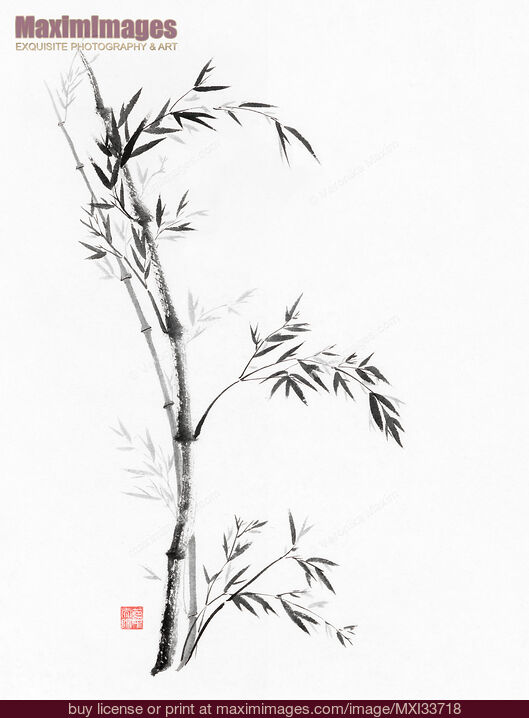 Stock image of Bamboo stalks and leaves Zen style painting artwork on white rice paper Buy commercial use license at MaximImages
