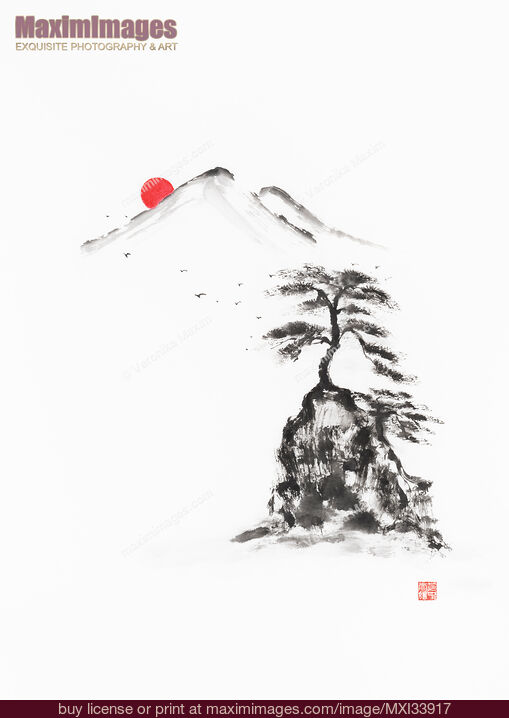 Stock image of Old pine tree growing on top of a rock in sunrise. Oriental Zen sumi-e painting Buy commercial use license at MaximImages