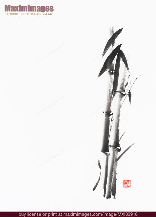 Stock image of Two bamboo stalks and leaves. Minimalist Zen style abstract fine art painting on white. Buy commercial use license at MaximImages