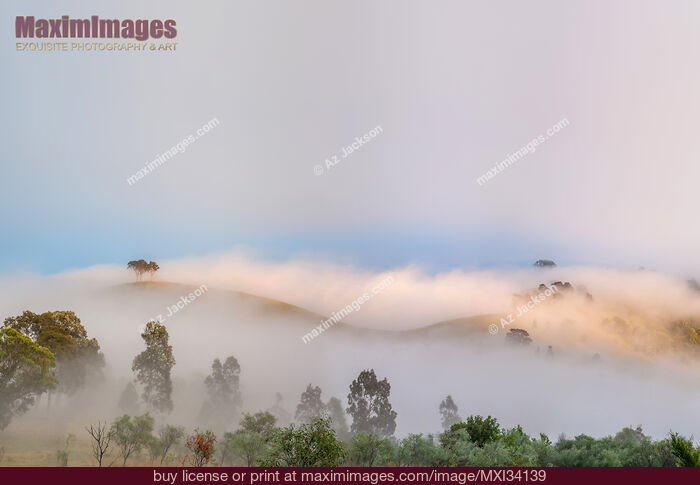 Stock photo of Fog covered hills in misty landscape of Hunter Valley, Australia Buy commercial use license at MaximImages
