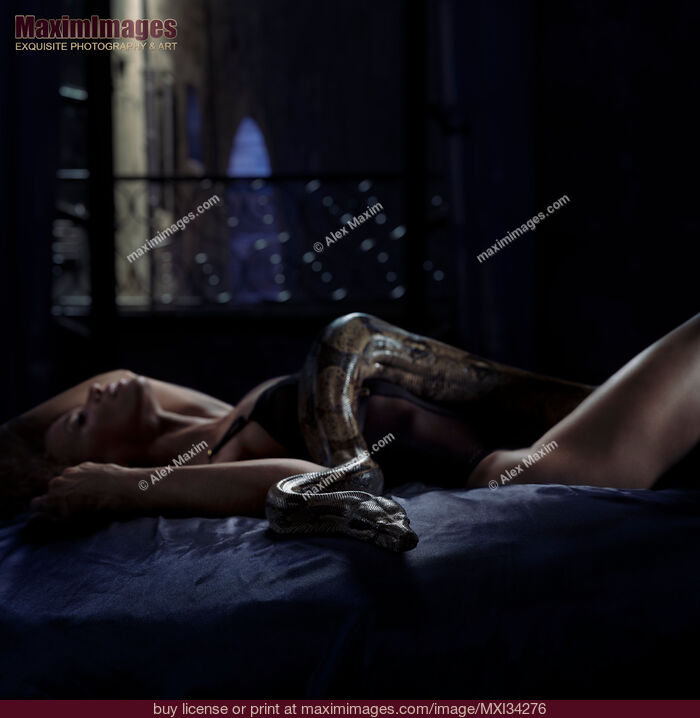 Stock photo of Woman lying on bed with a large boa constrictor snake slithering over her sexy body Buy commercial use license at MaximImages