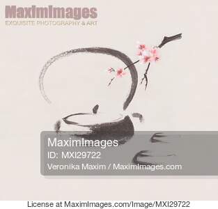 Teapot and sakura blossom Tea ceremony still life Japanese...... preview image