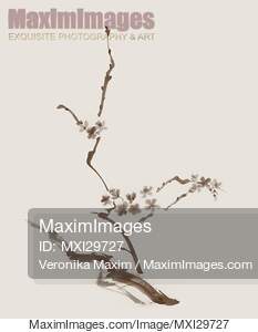 Sakura tree branch with blossoms artistic Zen design...... preview image