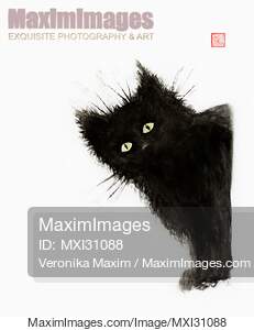 Black fuzzy cat peaking from around the corner... preview image