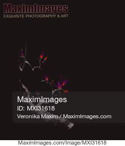 Enchanting oriental artwork of a budding sakura branch with...... preview image