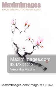 Sumi-e painting of a budding cherry blossom branch with...... preview image