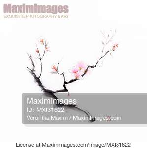 Sumi-e ink painting of a blooming sakura branch with gentle...... preview image