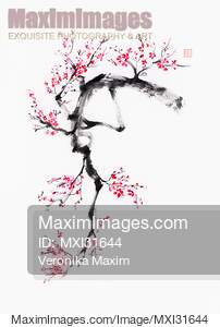 Sumi-e ink painting of a bright cherry blossom branch with...... preview image