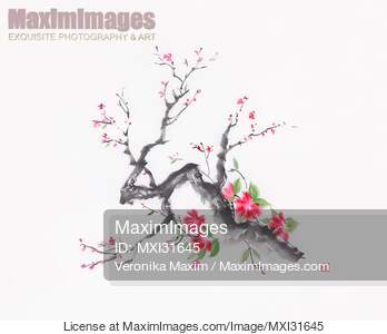 Cherry blossom branch sumi-e ink painting with bright pink flowers... preview image