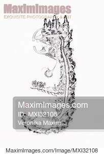 Daoist Classical Neijing Tu 內经图 Nei Jing Tu Chart of...... preview image