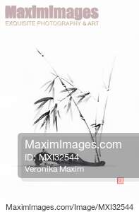 Sumi-e painting of a cute black sleeping cat under bamboo...... preview image