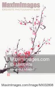 Chinese brush painting of a bright bushy cherry blossom...... preview image
