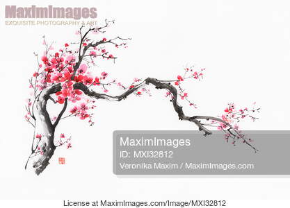 Fine art Sumi-e ink painting of a crooked blossoming sakura...... preview image