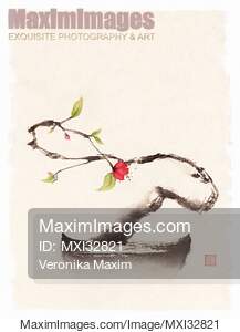 Zen fine art sumi-e painting of a dreamy bonsai sakura tree...... preview image