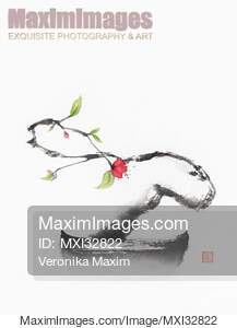 Oriental sumi-e painting of a dreamy Zen bonsai sakura tree...... preview image
