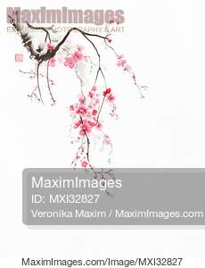 Zen sumi-e painting of a cherry blossom branch with light...... preview image