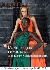Two beautiful women in elegant dresses... preview image