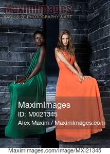 Two Beautiful Women in Elegant Long Dresses... preview image