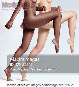Black and White Woman Legs... preview image