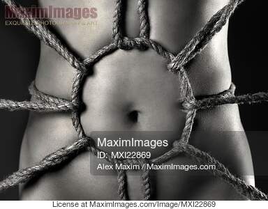 Nude woman body with rope pattern of Shibari bondage on her...... preview image