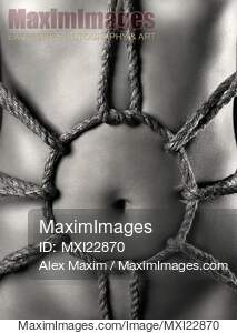 Black and white art nude of sexy woman body with Shibari...... preview image