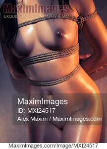 Naked Woman Body Tied with Japanese Shibari Rope Bondage Fine art Nude... preview image