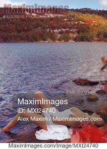 Young woman in white dress lying on lake shore... preview image
