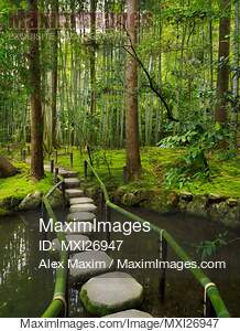 Stepping stones at Japanese Zen garden... preview image