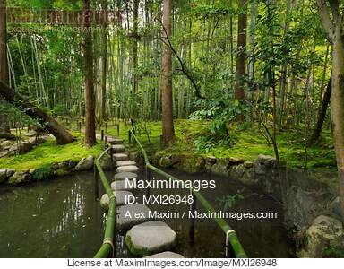 Japanese Zen garden with stepping stones... preview image