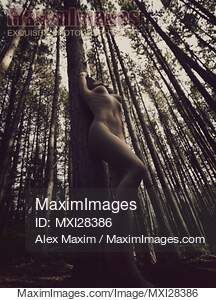 Beautiful nude woman leaning against tree in forest... preview image
