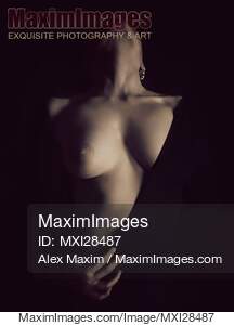 Artistic erotic portrait of woman breast in revealing dress cut... preview image