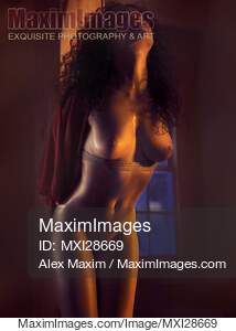Beautiful nude woman tied with bondage ropes in dim dramatic light... preview image