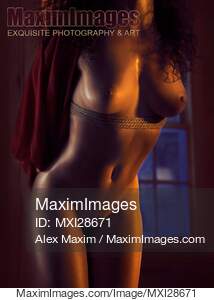 Beautiful nude woman body with bondage ropes in dim light... preview image