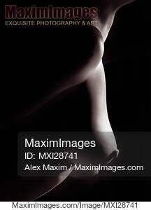Artistic closeup of nude woman breast Black and white sexy body parts... preview image