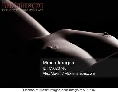 Artistic bodyscape of nude woman breast Black and white... preview image