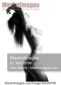 Beautiful nude woman body with light pattern of leaves... preview image