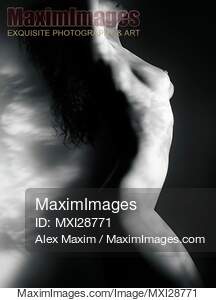 Fine art nude photo of naked woman body with light pattern of leaves... preview image