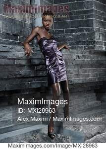Attractive Woman in Elegant Dress... preview image