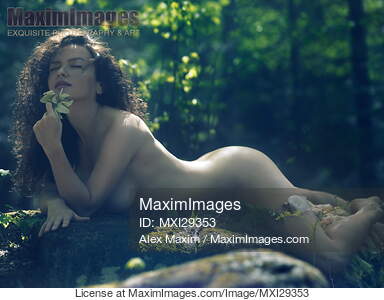 Beautiful nude woman lying naked in the forest with a wild...... preview image